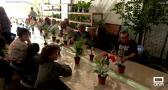 Aprendemos la técnica japonesa "Kokedama" en un taller de jardinería