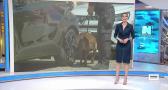 Castilla-La Mancha despierta - 20/05/2026