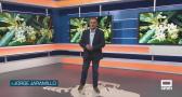 El campo - 21/05/2026
