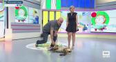 La llegada del calor también afecta a las mascotas