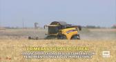 Comienza la campaña de recolección de cereales - 25/05/2026