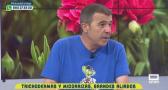 Hongos beneficiosos para mejorar la salud de las plantas