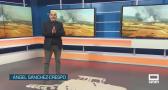 El campo - 29/05/2026