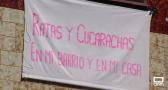Vecinos de Miguelturra denuncian una plaga de ratas y cucarachas