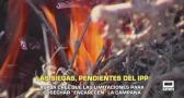 Las siegas, pendientes de IPP de incendios - 01/06/2026