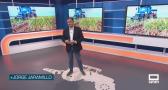 El campo - 03/06/2026