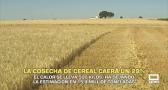 La cosecha de cereal caerá un 29 % - 05/06/2026