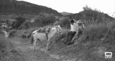 Las actividades para conmemorar los 80 años del "Viaje a La Alcarria" de Camilo José Cela