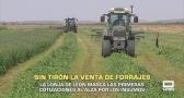 Sin tirón la venta de forrajes - 08/06/2026