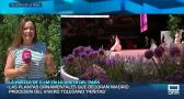 Plantas de un vivero de Talavera decoran algunos de los escenarios de la visita del papa