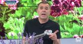 Altas temperaturas amenaza para las plantas