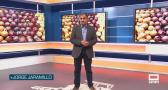El campo - 09/06/2026