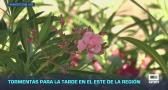 Previsión del tiempo - 09/06/2026