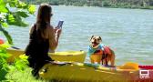 Kayak en Cazalegas, aventuras para compartir con tu peludo