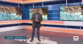 El campo - 12/06/2026