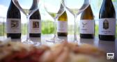 Lazos: vino ecológico en una viña llena de vida