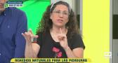 Remedios naturales para las picaduras
