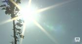 Los dermatólogos nos recuerdan el riesgo de tomar el sol sin precauciones