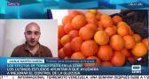 Entrevista a Juanjo Martín Olmedo