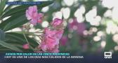 Previsión del tiempo - 01/07/2026