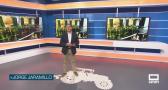 El campo - 01/07/2026