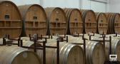 De Cabañeros a La Mancha: un recorrido entre vinos, sabores e historia