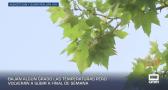 Previsión del tiempo - 02/07/2026
