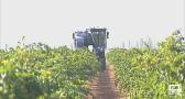 Día Mundial de las Cooperativas: hay más de 500 agroalimentarias que dan trabajo a 158.000 familias