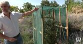 Los protocolos contra el calor que aplica el Jardín Botánico de Castilla-La Mancha