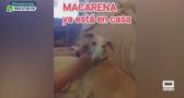 La increíble historia de Macarena y Amparanimals