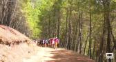 "Camino abierto" el campamento itinerante de la diócesis de Sigüenza