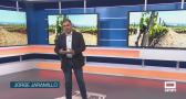 Debate territorial por el vino - 10/07/2026