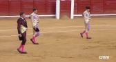 Toros desde Manzanares (11/07/2026)