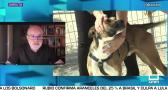 Entrevista a Jaume Fatjo - 16/7/2026