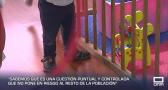 Detectado un brote de salmonelosis en siete centros infantiles de Alcázar de San Juan