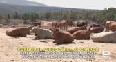El campo - 27/07/2026