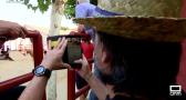 La vaca del aguardiente, protagonista de El Carpio de Tajo