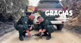 Gracias por ayudar y proteger también a los animales