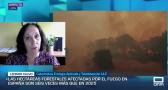 Entrevista a Leonor Calvo - 30/7/2026