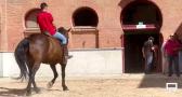 Jornada de preparación con la cuadra de pica Equigarce