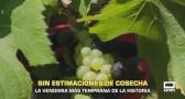 El campo - 03/08/2026