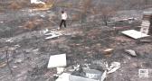Colmenas completamente calcinadas tras los incendios de la Sierra Norte de Guadalajara