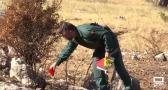 Así investiga el SEPRONA el origen de un incendio