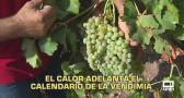 Castilla-La Mancha fin de semana a las 2 09/08/2026