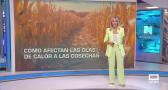 Castilla-La Mancha fin de semana a las 8 09/08/2026