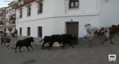 Fiestas en Alcalá de Júcar en honor a San Lorenzo