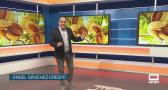 El campo - 11/08/2026
