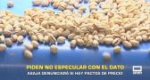 Piden no especular con los datos en la campaña del pistacho- 12/08/2026