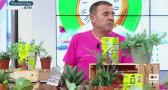 Prunia. Protector natural de las plantas