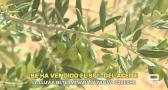 El campo - 13/08/2026